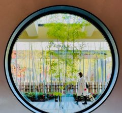 スタイリッシュな温泉付きライフスタイルホテル【ホテルインディゴ犬山有楽苑】で大人の女子旅♡