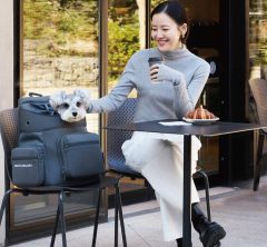 愛犬との時間が豊かになる、初のドッググッズをコラボレーション！【DEAN & DELUCA×CITYDOG】