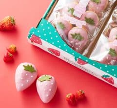 【見た目も味も〝いちご〟な手土産5選】可愛い♡いちごスイーツを元社長秘書がセレクト！