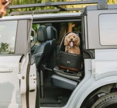 あの世界一有名なワンちゃんも愛用!? ワンタッチで1台3役になるアメリカ生まれの最新ギア