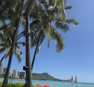 母と娘で楽しむ最旬ハワイ！【とっておきガイド】ショーや大自然を満喫！