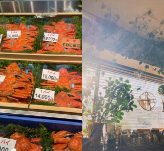 【10月6日は今年最後の最強開運日！】水晶玉子先生が教える2026への駆け込み開運アクションは？