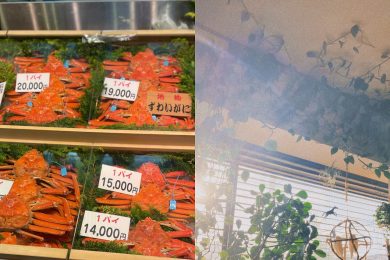 【10月6日は今年最後の最強開運日！】水晶玉子先生が教える2026への駆け込み開運アクションは？