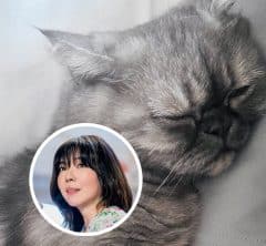 【画像集】岡本真夜さん（51）の心と体のバランスを整える、たくさんの「好きなもの」