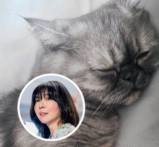 【画像集】岡本真夜さん（51）の心と体のバランスを整える、たくさんの「好きなもの」