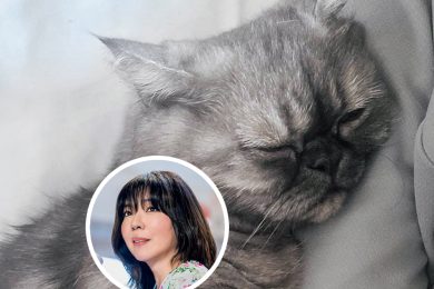 【画像集】岡本真夜さん（51）の心と体のバランスを整える、たくさんの「好きなもの」