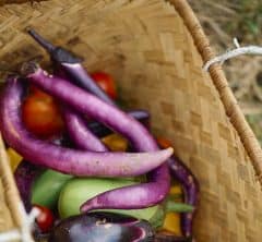 【湯布院のオーベルジュ】でシェフと収穫体験ができる。親子で本物の「食育」旅を