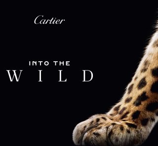 【カルティエ】パンテールの歴史を体感！没入型ポップアップイベントを開催