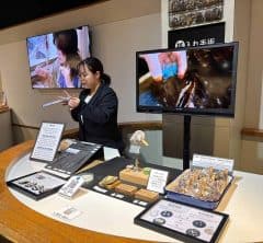 「世界中の女性を真珠で飾りたい」世界で初めて養殖真珠が誕生した〈ミキモト真珠島〉で感動体験