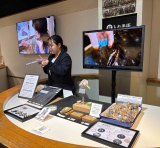 「世界中の女性を真珠で飾りたい」世界で初めて養殖真珠が誕生した〈ミキモト真珠島〉で感動体験