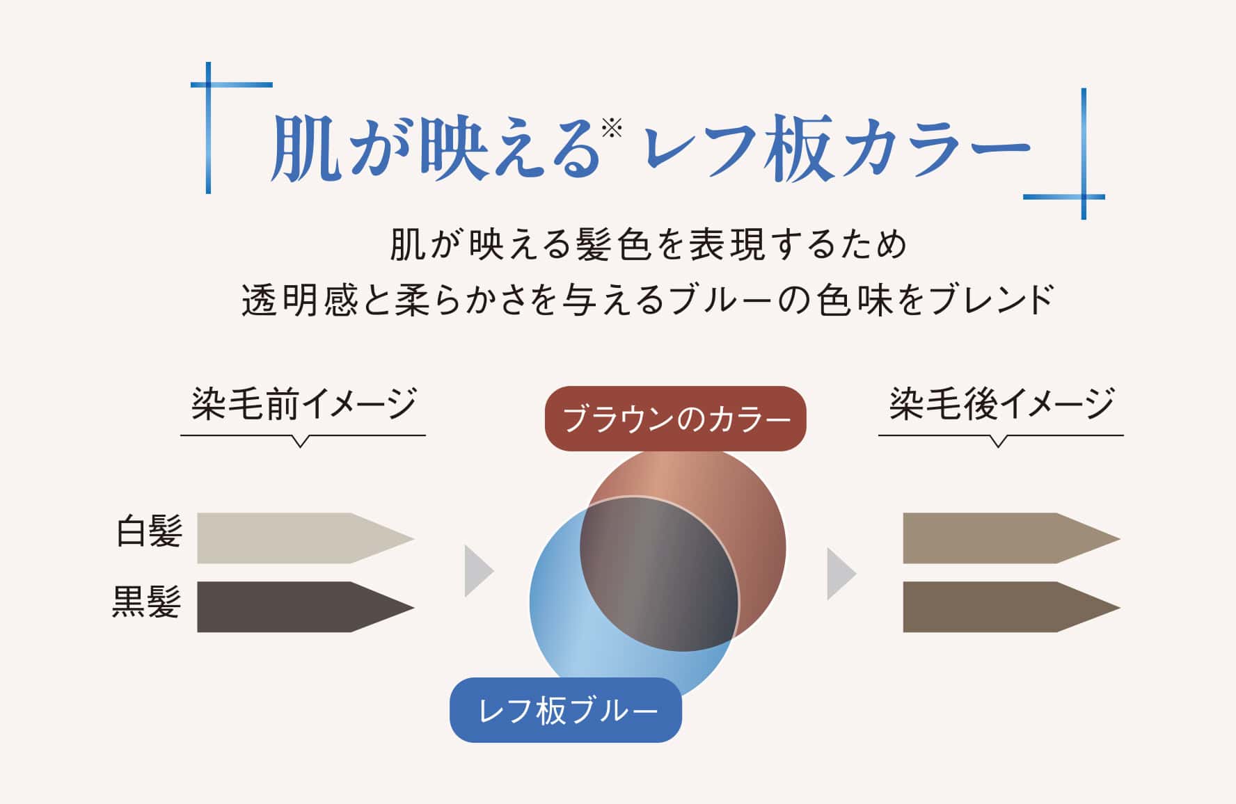 「肌が映える※レフ板カラー」