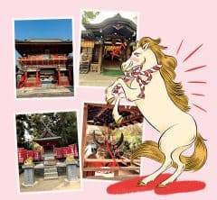 2026年は「丙午の年」！１月のうちに参拝したい「開運神社」５選