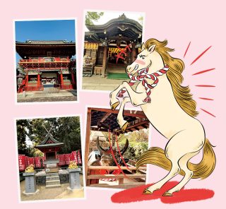 2026年は「丙午の年」！１月のうちに参拝したい「開運神社」５選