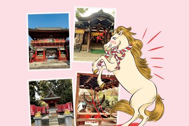 2026年は「丙午の年」！１月のうちに参拝したい「開運神社」５選