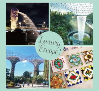 真冬の日本を抜け出して【シンガポール】でリフレッシュ！定番から最新まで濃縮プラン