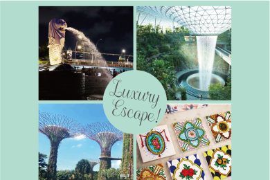 真冬の日本を抜け出して【シンガポール】でリフレッシュ！定番から最新まで濃縮プラン