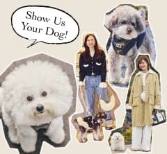 〈豪華プレゼント付き〉【わんこSTORY】可愛い〝うちの子〟とオシャレ読者のお出かけコーデスナップ