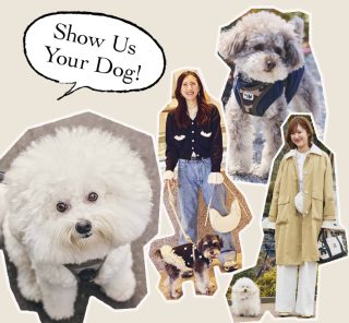 〈大注目ブランドの豪華プレゼントも〉【わんこSTORY】可愛い〝うちの子〟とオシャレ読者のお出かけコーデスナップ