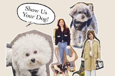 〈豪華プレゼント付き〉【わんこSTORY】可愛い〝うちの子〟とオシャレ読者のお出かけコーデスナップ