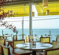 夏のbillsが最高！シドニー気分で楽しむ春夏新メニュー