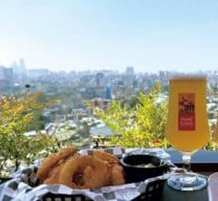 【24時間みっちり遊ぶ】「わがまま韓国旅」リアルスケジュール。「深夜便」活用で効率重視!