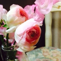 春な色、ピンク