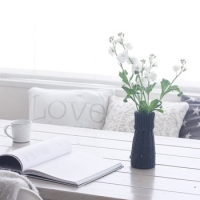 片方なくした手袋<br />インテリアに再利用