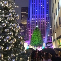 【クリスマスイルミネーション】