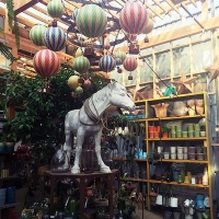 グリーンインテリア好きに<br />種類豊富なガーデンショップ<br />SOLSOFARMへ