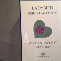 2017年のバレンタインはピエールマルコリーニのてんとう虫でハッピーに❤︎