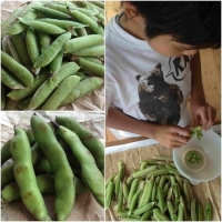 旬のゼイタク。