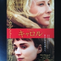 すべてが美しい、『キャロル』の世界。