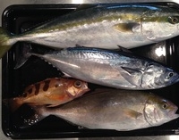 【釣った魚は餌をやるなりさばくなり。】