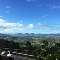 ローカル感たっぷり♡の朝市とフェス！　～ニューカレドニアを味わいつくす旅、その④
