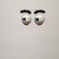 斬新な面白さ！ライアン・ガンダー ーこの翼は飛ぶためのものではない