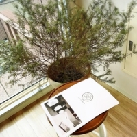 本当に自分に必要なオイルを発見できる　O.I.L FARMACY