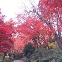 「趣ある美術館 アサヒビール大山崎山荘美術館」
